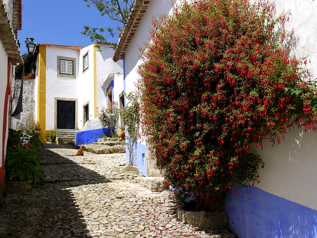 views of The Obidos town